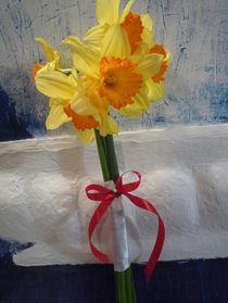 5 of daffodils