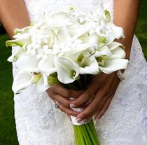 Bridal bouquet of white callas #14